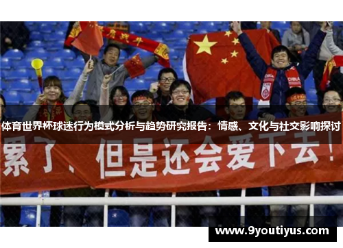 体育世界杯球迷行为模式分析与趋势研究报告：情感、文化与社交影响探讨