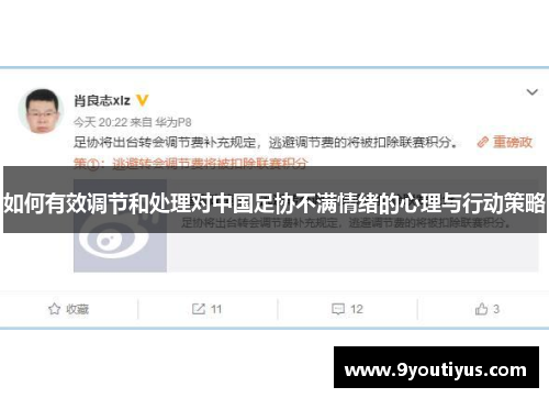 如何有效调节和处理对中国足协不满情绪的心理与行动策略 如何有效调节和处理对中国足协不满情绪的心理与行动策略