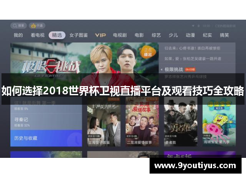 如何选择2018世界杯卫视直播平台及观看技巧全攻略