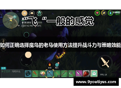 如何正确选择魔鸟的老马使用方法提升战斗力与策略效能 如何正确选择魔鸟的老马使用方法提升战斗力与策略效能